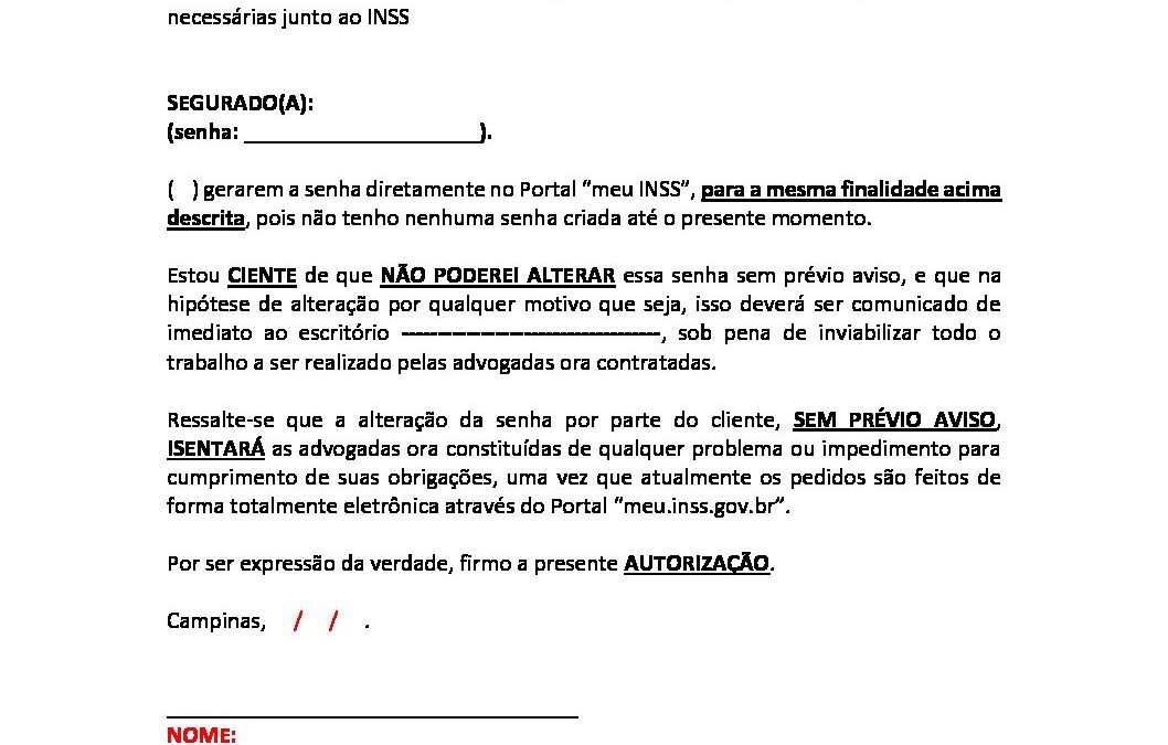 MODELO DE AUTORIZAÇÃO DE ACESSO AO SITE DO INSS | IBDP - Instituto ...